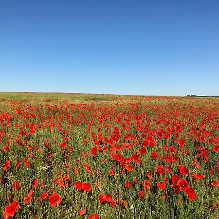 Maison De Village 5 Liancourt-Saint-Pierre